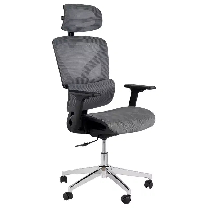 Ergonomic High Back Mesh Office Chair - 4D Adjustable Armrests, Dynamic Lumbar Support, Sliding Seat, Headrest, and Silent Casters